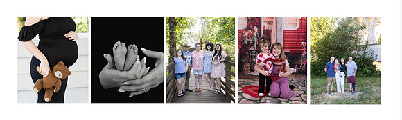 weebly header family