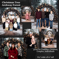 Christmas Tree Archway Forest