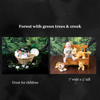 forest with green trees