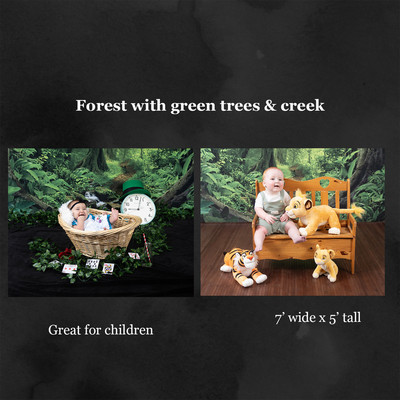 forest with green trees