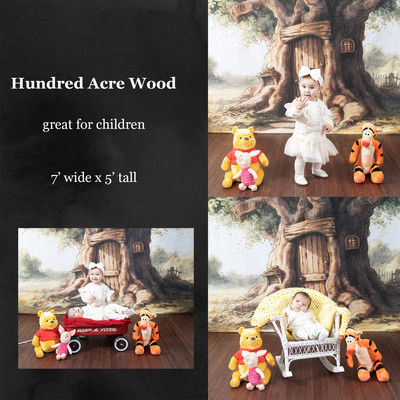 hundred acre wood