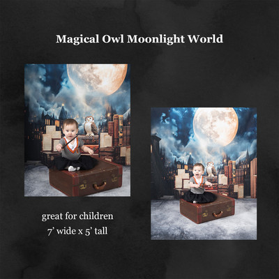magical owl moonlight