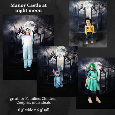 manor castle at night moon