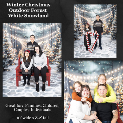 winter christmas outdoor forest white snowland