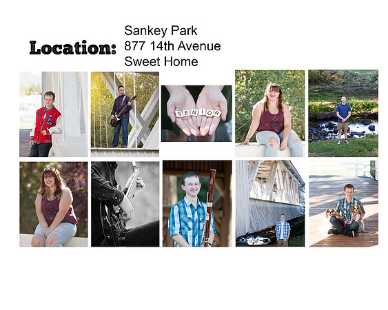 Sankey Park